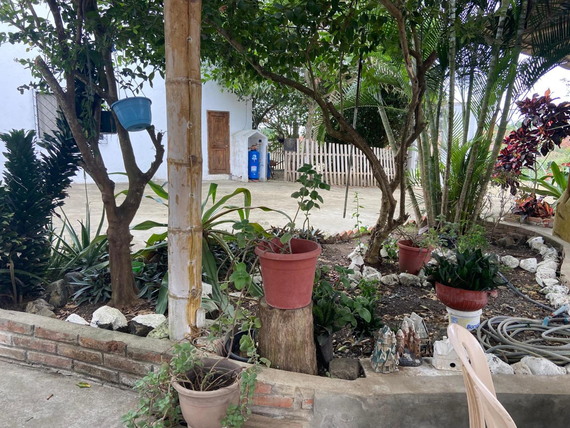 Hosteria Del Puerto Puerto López エクステリア 写真