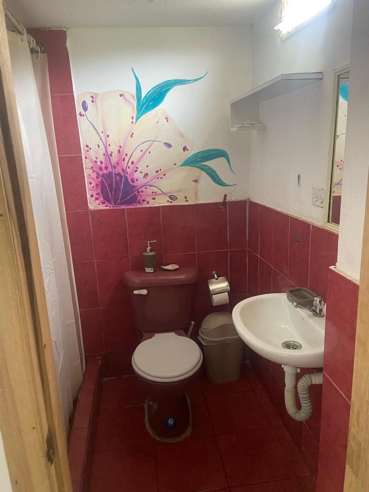 Hosteria Del Puerto Puerto López エクステリア 写真